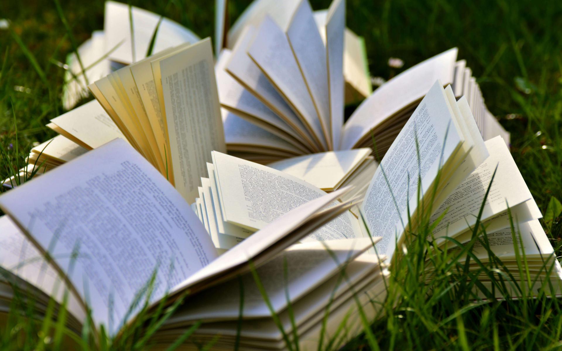 Bücher im Gras